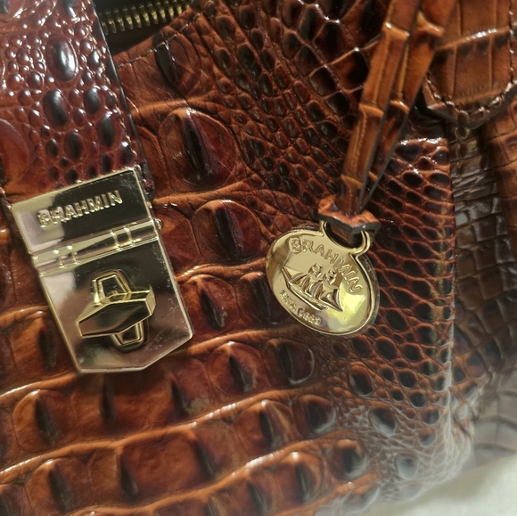 Brahmin Elisa Pecan Melbourne Dust Cover + Wallet Brand New - Picture 10 of 10